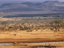 Flamingos, Lake Bogoria, Kenya, East Africa, Africa-Storm Stanley-Photographic Print