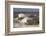 Storm waves batter Whitehaven harbour, Cumbria, UK, December 2014.-Ashley Cooper-Framed Photographic Print