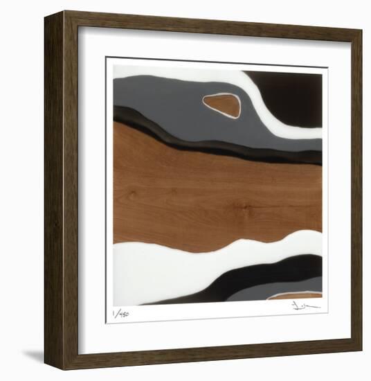 Storm-null-Framed Limited Edition