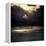 Storm-Philippe Manguin-Framed Premier Image Canvas