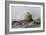 Storm-Mark Spowart-Framed Art Print