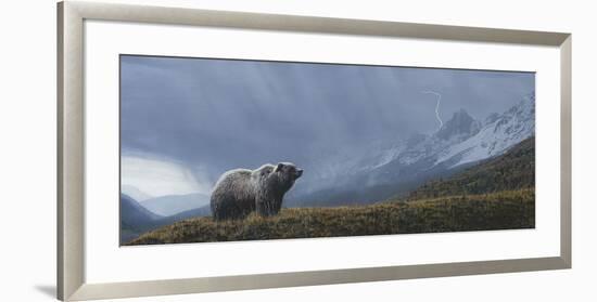 Stormwatch - Grizzly (detail)-Terry Isaac-Framed Art Print