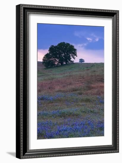 Stormy Afternoon and Wildflowers, Central California, Atascadero, Paso Robles-Vincent James-Framed Photographic Print