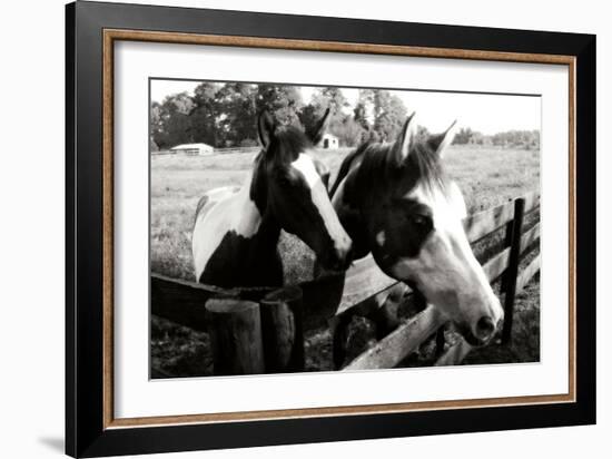 Stormy and Foal 2-Alan Hausenflock-Framed Photographic Print