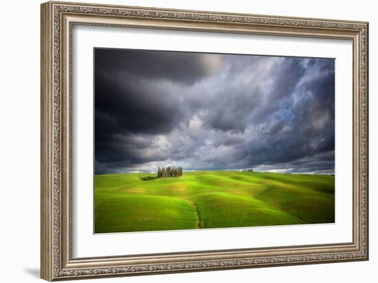 Stormy Cypresses-Marcin Sobas-Framed Photographic Print