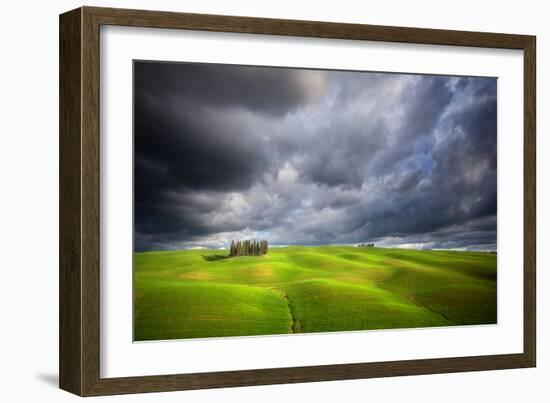 Stormy Cypresses-Marcin Sobas-Framed Photographic Print