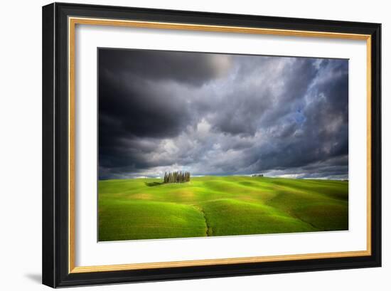 Stormy Cypresses-Marcin Sobas-Framed Photographic Print