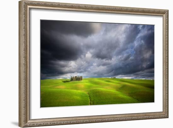 Stormy Cypresses-Marcin Sobas-Framed Photographic Print