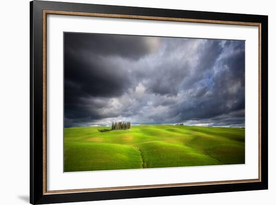 Stormy Cypresses-Marcin Sobas-Framed Photographic Print