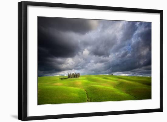 Stormy Cypresses-Marcin Sobas-Framed Photographic Print