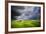 Stormy Cypresses-Marcin Sobas-Framed Photographic Print