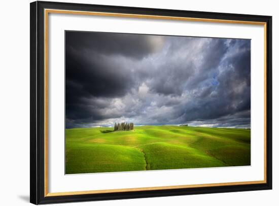 Stormy Cypresses-Marcin Sobas-Framed Photographic Print