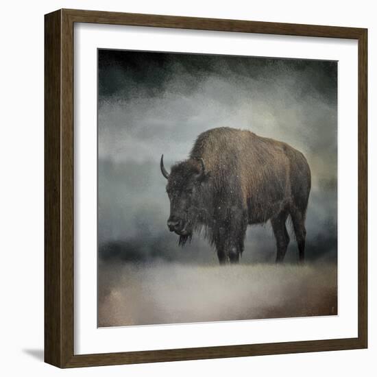 Stormy Day Buffalo-Jai Johnson-Framed Giclee Print