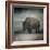 Stormy Day Buffalo-Jai Johnson-Framed Giclee Print