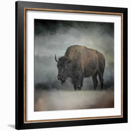 Stormy Day Buffalo-Jai Johnson-Framed Giclee Print