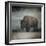 Stormy Day Buffalo-Jai Johnson-Framed Giclee Print