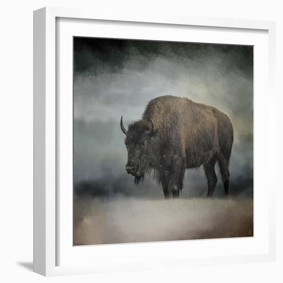 Stormy Day Buffalo-Jai Johnson-Framed Giclee Print