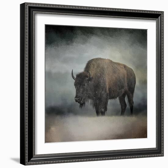 Stormy Day Buffalo-Jai Johnson-Framed Giclee Print