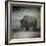 Stormy Day Buffalo-Jai Johnson-Framed Giclee Print