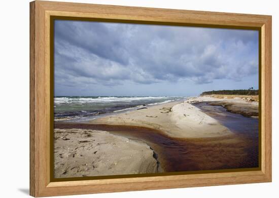 Stormy Day on the Western Beach of Darss Peninsula-Uwe Steffens-Framed Premier Image Canvas