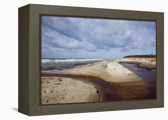 Stormy Day on the Western Beach of Darss Peninsula-Uwe Steffens-Framed Premier Image Canvas