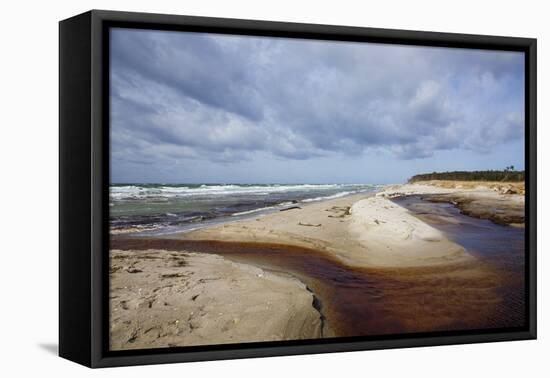 Stormy Day on the Western Beach of Darss Peninsula-Uwe Steffens-Framed Premier Image Canvas