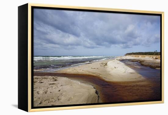 Stormy Day on the Western Beach of Darss Peninsula-Uwe Steffens-Framed Premier Image Canvas