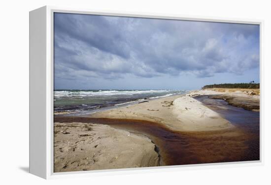 Stormy Day on the Western Beach of Darss Peninsula-Uwe Steffens-Framed Premier Image Canvas