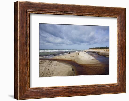 Stormy Day on the Western Beach of Darss Peninsula-Uwe Steffens-Framed Photographic Print