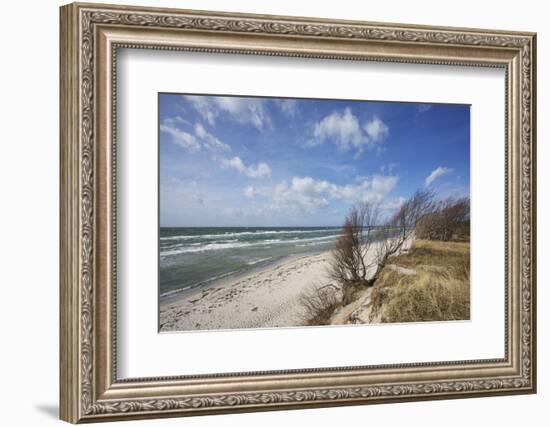 Stormy Day on the Western Beach of Darss Peninsula-Uwe Steffens-Framed Photographic Print