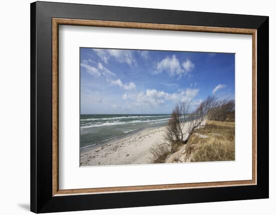 Stormy Day on the Western Beach of Darss Peninsula-Uwe Steffens-Framed Photographic Print