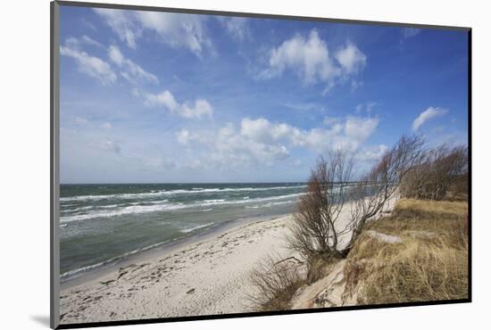 Stormy Day on the Western Beach of Darss Peninsula-Uwe Steffens-Mounted Photographic Print