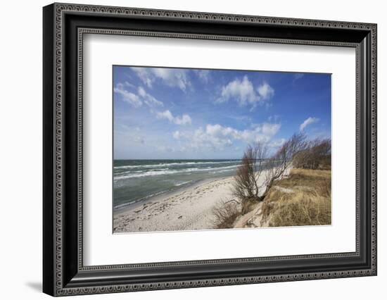 Stormy Day on the Western Beach of Darss Peninsula-Uwe Steffens-Framed Photographic Print
