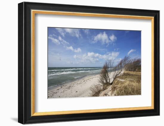 Stormy Day on the Western Beach of Darss Peninsula-Uwe Steffens-Framed Photographic Print