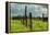 Stormy Ranch-Vincent James-Framed Premier Image Canvas