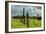 Stormy Ranch-Vincent James-Framed Photographic Print