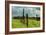 Stormy Ranch-Vincent James-Framed Photographic Print