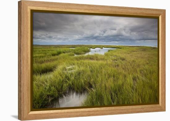 Stormy Skies Hang Over The Marshlands Surrounding Smith Island In The Chesapeake Bay-Karine Aigner-Framed Premier Image Canvas