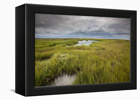 Stormy Skies Hang Over The Marshlands Surrounding Smith Island In The Chesapeake Bay-Karine Aigner-Framed Premier Image Canvas