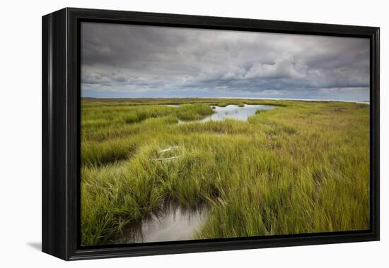 Stormy Skies Hang Over The Marshlands Surrounding Smith Island In The Chesapeake Bay-Karine Aigner-Framed Premier Image Canvas