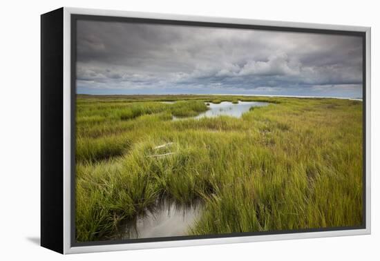 Stormy Skies Hang Over The Marshlands Surrounding Smith Island In The Chesapeake Bay-Karine Aigner-Framed Premier Image Canvas