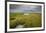 Stormy Skies Hang Over The Marshlands Surrounding Smith Island In The Chesapeake Bay-Karine Aigner-Framed Photographic Print