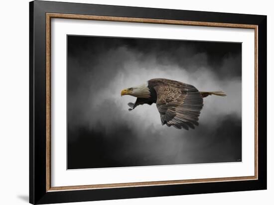 Stormy Sky Flight-Jai Johnson-Framed Giclee Print