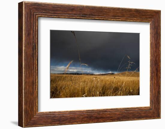 Stormy Sky over Rangelands on the Edge of the Tibetan Plateau in Sichuan Province, China, Asia-Alex Treadway-Framed Photographic Print