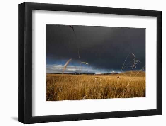 Stormy Sky over Rangelands on the Edge of the Tibetan Plateau in Sichuan Province, China, Asia-Alex Treadway-Framed Photographic Print