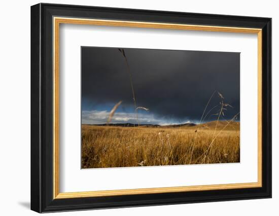 Stormy Sky over Rangelands on the Edge of the Tibetan Plateau in Sichuan Province, China, Asia-Alex Treadway-Framed Photographic Print