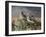 Stormy Spring-Trevor V. Swanson-Framed Giclee Print