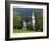 Stormy Steeple-Brenda Petrella Photography LLC-Framed Giclee Print