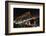 Story Bridge by Night-David Bostock-Framed Photographic Print