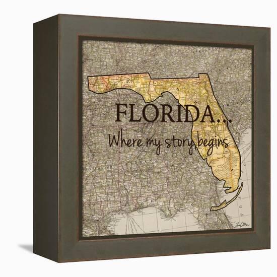 Story Florida-Tina Carlson-Framed Stretched Canvas